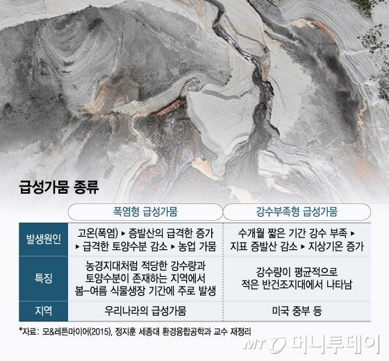 급성가뭄 종류/그래픽=윤선정