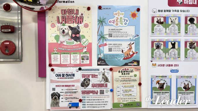 ▲내품애센터에서 진행하는 프로그램들/사진=신재은 기자