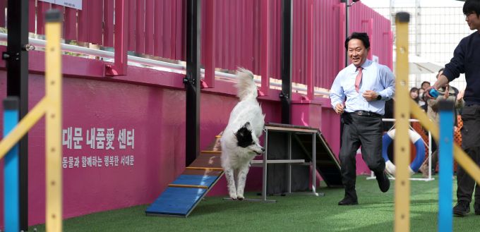 ▲지난해 4월 17일 이성헌 서대문구청장이 내품애센터에서 어질리티 체험을 하고 있다./사진=뉴시스