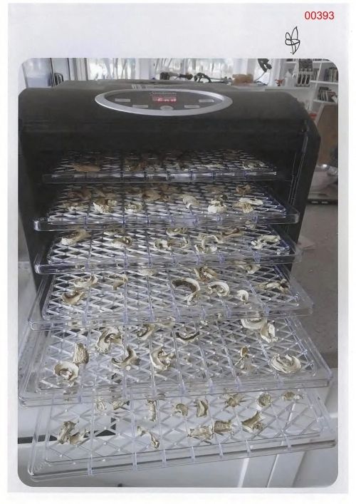 에린 패터슨이 버섯을 말린 식품 건조기. /사진=빅토리아 대법원