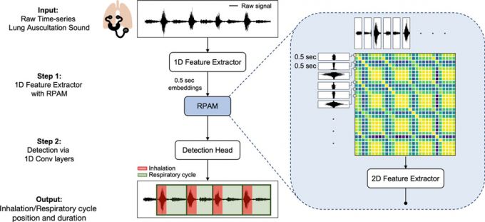 박사윤 원광대 교수팀의 연구자료 이미지./사진제공=원광대