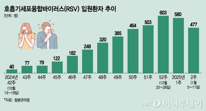 호흡기세포융합바이러스(RSV) 입원환자 추이/그래픽=김지영