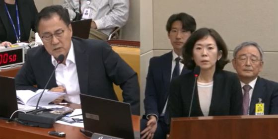 황성혜 구글코리아 대외협력정책 부사장(오른쪽)이 14일 국회 과학기술정보방송통신위원회 국정감사에 출석해 최형두 국민의힘 의원 질문에 답변하고 있다. /사진=인터넷의사중계시스템 화면 갈무리