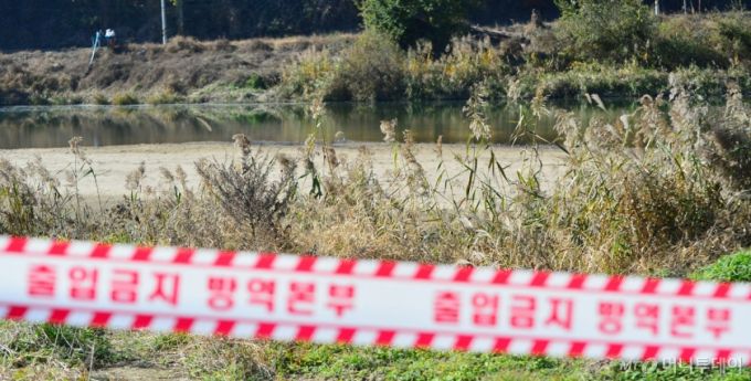 [청주=뉴시스] 서주영 기자 = 14일 충북 청주시 청원구 오창읍의 병천천에서 포획된 야생 조류에서 고병원성 조류인플루엔자(AI)가 검출돼 방역당국이 현장을 통제하고 있다. 이번 검출은 올해 도내 첫 고병원성 조류AI 발병이다. 2025.11.14. juyeong@newsis.com /사진=서주영