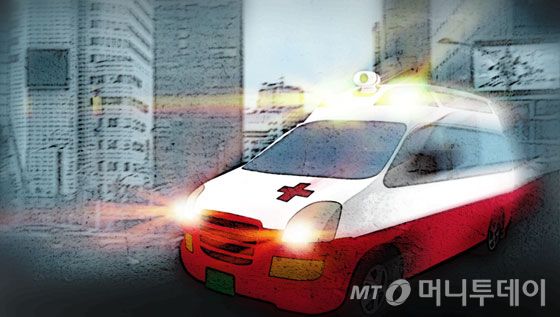 충남 부여군에서 50대 여성이 자신의 차에 깔려 사망하는 사건이 발생했다. /사진=임종철 디자인기자