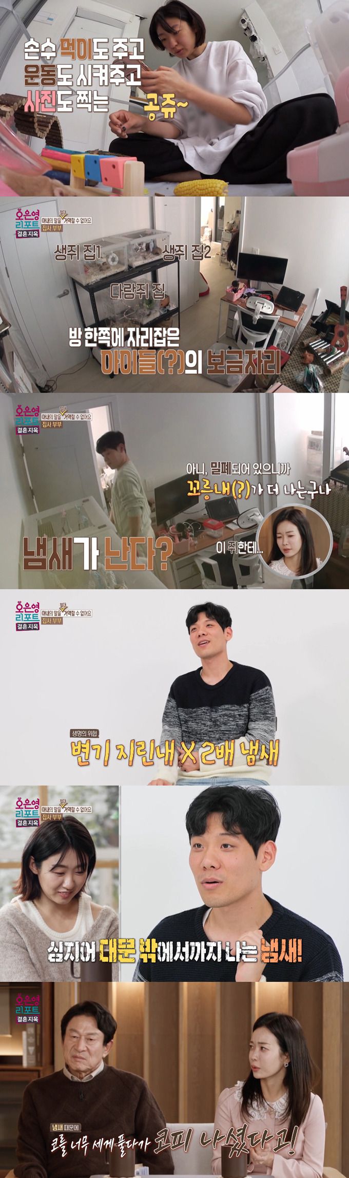 생쥐 8마리 등 반려동물만 11마리를 키우며 또 다른 반려동물 입양을 고민 중인 아내에게 정신건강의학과 전문의 오은영 박사가 조언을 건넸다./사진=MBC '오은영 리포트-결혼 지옥' 방송 화면