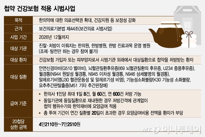 첩약 건강보험 적용 시범사업/그래픽=조수아