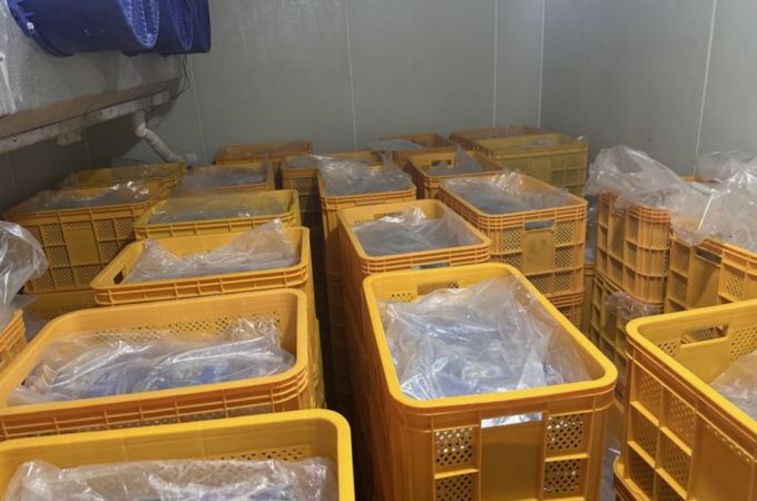 국내산으로 둔갑시킨 중국산 재첩/사진=여수해경 제공