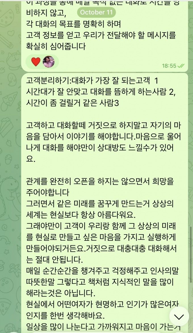 범죄단체는 채터들이 재력과 미모를 갖춘 젊은 여성으로 위장할 수 있게끔 사칭 여성의 신상정보, 사진, 대본을 준비한 것으로 조사됐다. /사진제공=보이스피싱 범죄 정부합동수사단.