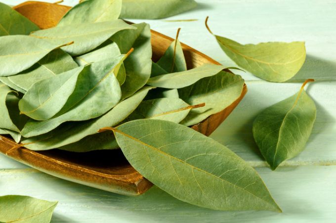 풍미를 살리는 향신료 '월계수 잎'이 숙면을 돕는 '마법의 잎사귀'로 주목받고 있다. 사진은 기사 이해를 돕기 위한 자료 사진. /사진=게티이미지뱅크