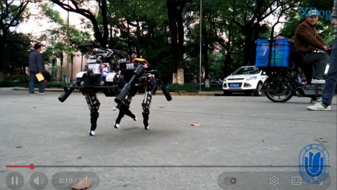 2015년 유튜브에 공개된 '엑스독' /사진=유튜브 @wxx