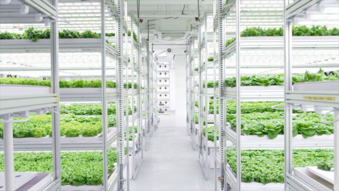 퓨처커넥트의 도심형 스마트팜 /사진=퓨처커넥트