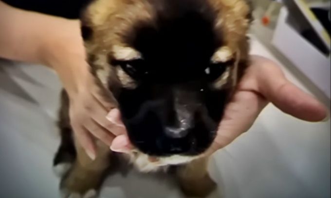 /사진=JTBC '사건반장'