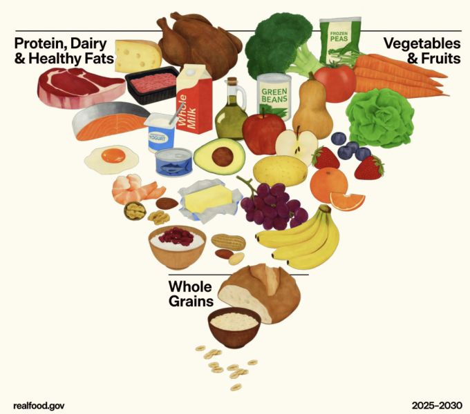 미국 보건부가 제시한 식단 가이드라인/사진=미 보건부