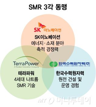 SMR 3각 동맹/그래픽=김다나