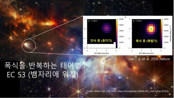 뱀자리 성운에 위치한 태아별 'EC 53'은 18개월을 주기로 폭식과 단식을 반복하며 몸집을 키워갔다. 이때 폭발기에만 '결정질 광물' 스펙트럼이 검출됐다. /사진=이정은 교수 연구팀