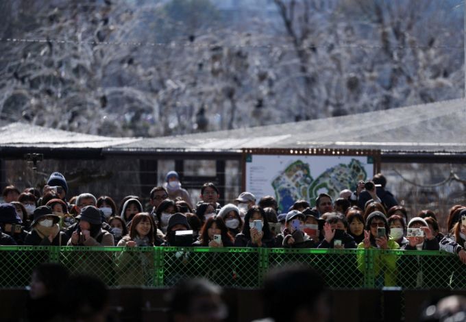 일본인들이 도쿄 우에노동물원의 판다 샤오샤오와 레이레이를 배웅하기 위해 모였다. 2026.1.27  ⓒ 로이터=뉴스1  Copyright (C) 뉴스1. All rights reserved. 무단 전재 및 재배포,  AI학습 이용 금지. /사진=(로이터=뉴스1)