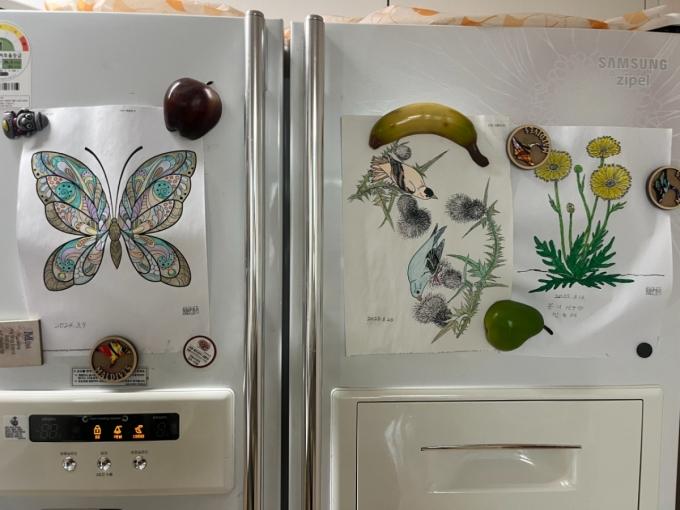 2일 오전 서울 은평구 한 아파트 냉장고 모습. 김 보호사는 김씨가 색칠한 그림들을 냉장고에 자석으로 붙여두었다./사진=이정우 기자.