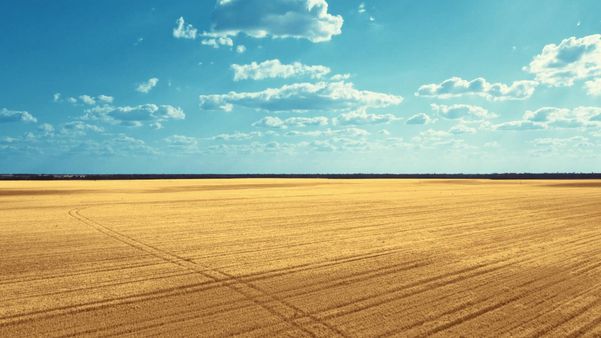 ’청정라거’ 테라의 맥아(보리) 원료 공급지역인 호주 골든트라이앵글 농업지대. 현무암 기반의 비옥한 토양으로 보리가 자라기에 최적의 장소로 꼽힌다.