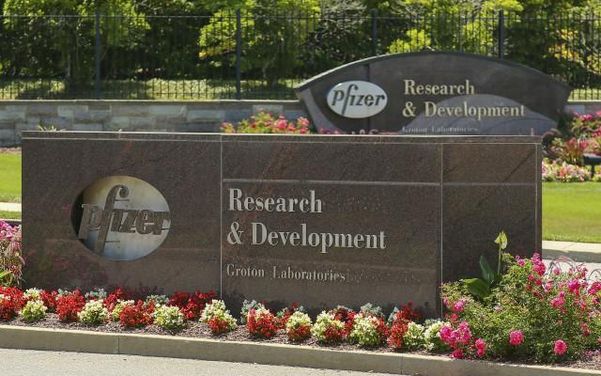 미국 제약회사 화이자. /AP연합뉴스