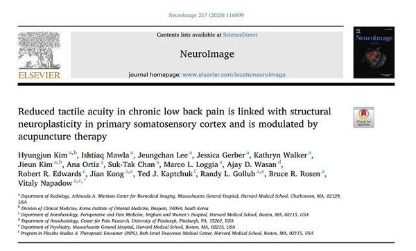 연구팀의 ‘뉴로 이미지(Neuro Image)’ 논문./한의학연 제공