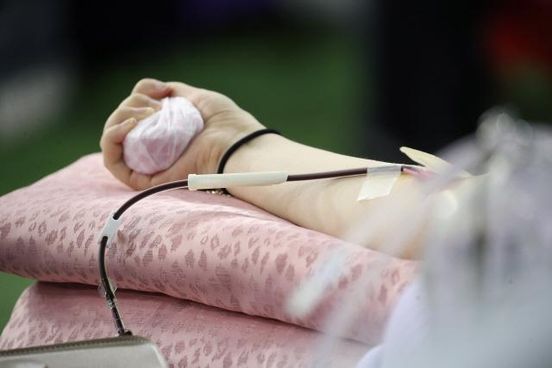 혈장 공여를 진행 중인 모습. /연합뉴스