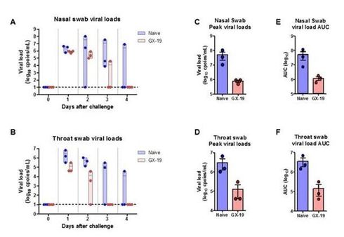 GX-19의 시험을 통한 방어 효능. /제넥신