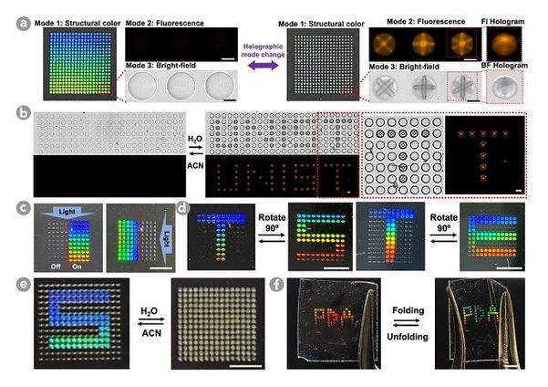 연구팀이 개발한 공액 고분자 입자로 글자를 만들고 색과 모양을 바꾸는 모습./UNIST 제공
