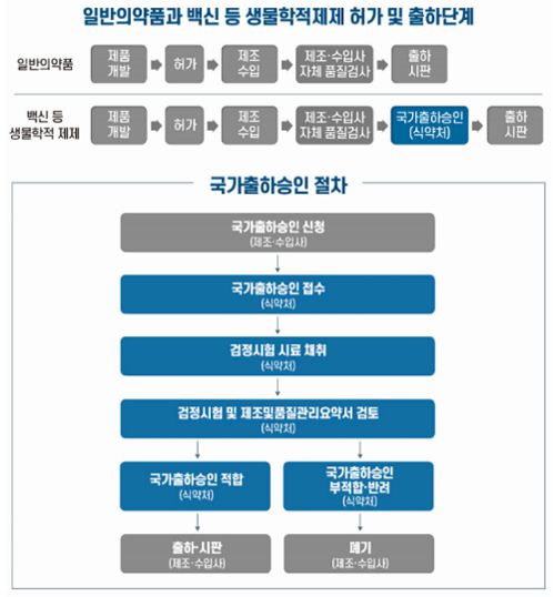 의약품의 국가출하승인 절차. /식약처 제공
