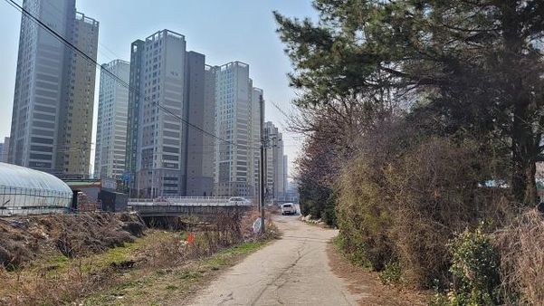 25일 경기 양주시 율정동 129번지 일대에 차량이 오고갈 수 있는 길이 나있다. /최상현 기자