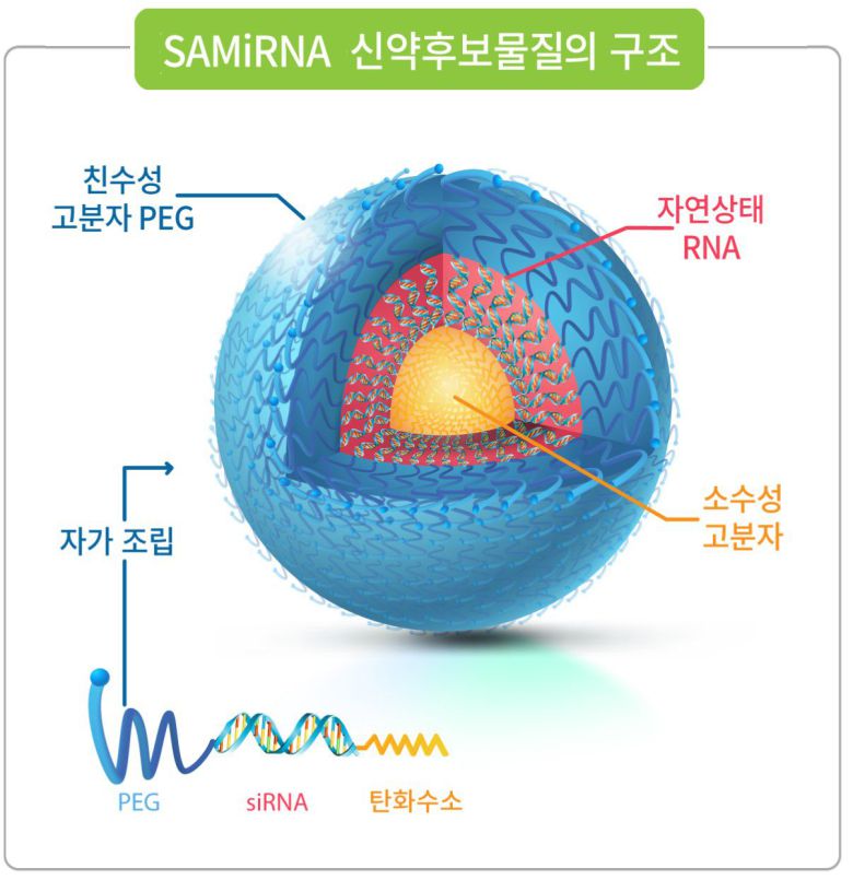 바이오니아 신약 후보물질 SAMiRNA 구조/바이오니아 제공