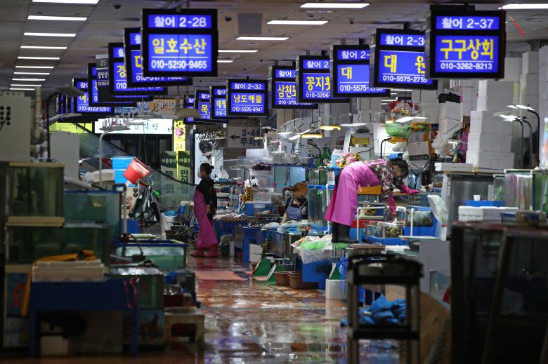 거리두기 4단계 둘째 날, 한산한 노량진 수산시장     (서울=연합뉴스) 김도훈 기자 = 수도권의 사회적 거리두기 4단계 격상 둘째 날인 13일 점심시간 서울 동작구 노량진수산시장이 비교적 한산하다. 2021.7.13     superdoo82@yna.co.kr/2021-07-13 13:12:29/ <저작권자 ⓒ 1980-2021 ㈜연합뉴스. 무단 전재 재배포 금지.>