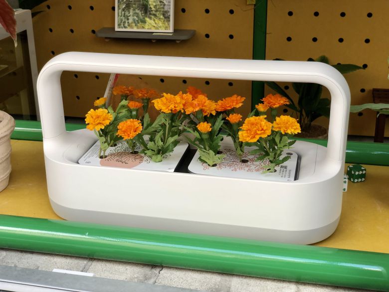 LG전자는 틔운에서 키운 식물을 책상이나 테이블 등에서 감상할 수 있게 돕는 액세서리 LG 틔운 미니를 출시할 예정이다. /윤진우 기자