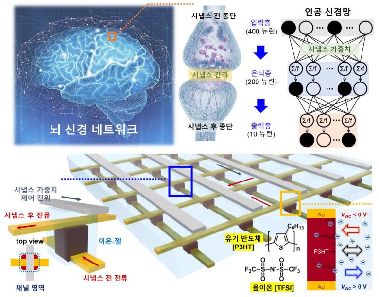 뇌 신경 네트워크의 시냅스 작동 방식을 모사한 트랜지스터 모습. /연세대 제공