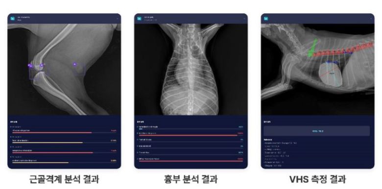 엑스칼리버를 활용한 수의영상진단 보조서비스 예시 /SK텔레콤 제공