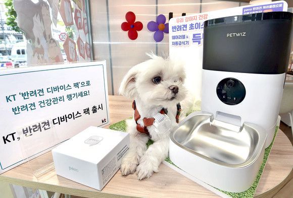 반려견 디바이스팩 /KT 제공
