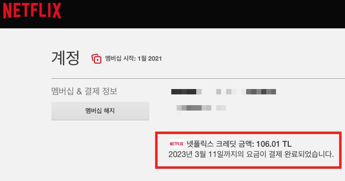 넷플릭스 튀르키예 계정이 우회 접속을 통해 국내에서 이용 중인 모습. /조선비즈 DB