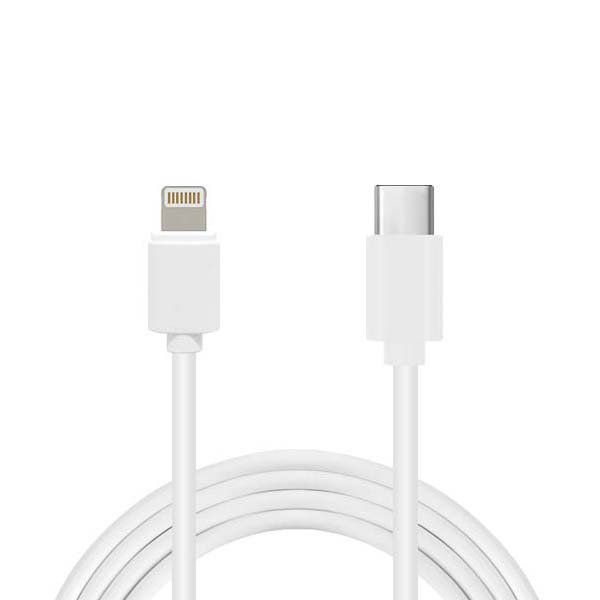 (왼쪽)라이트닝, (오른쪽)USB-C./조선비즈