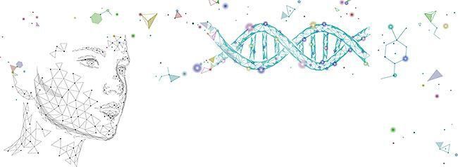 노화 과정은 생체 내 DNA나 RNA 등의 거대 분자와도 관련이 있다. 현재 국내에서는 이를 타깃으로 한 노화 치료제 개발이 한창이다./이코노미조선