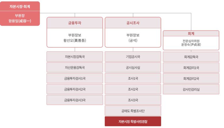 금융감독원 자본시장·회계 권역 조직도/금융감독원