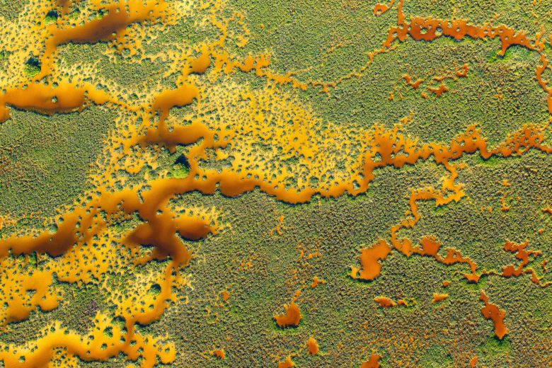 Kaan의 오렌지 카펫에서 - 맹그로브 사진상 자연경관 부문 준우승자 - 산티아고 지베르 이세른, 멕시코