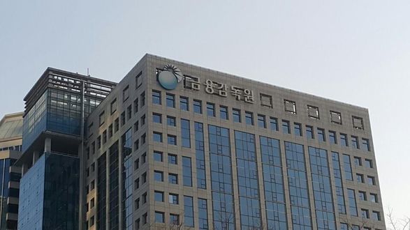 서울 여의도 금융감독원 본원.