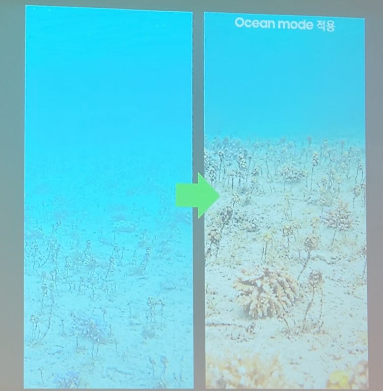 일반 카메라로 찍은 산호초 사진(왼쪽)과 오션 모드가 적용된 갤럭시S24 울트라로 촬영한 산호초 사진 비교./샌디에이고=심민관 기자