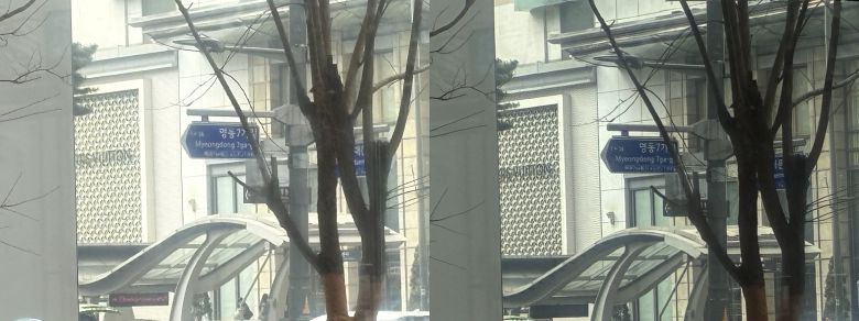 10배 줌 기능을 활용해 아이폰16e로 촬영한 사진(왼쪽)과 아이폰16으로 촬영한 사진. 두 사진의 화질 차이가 거의 없었다./김민국 기자