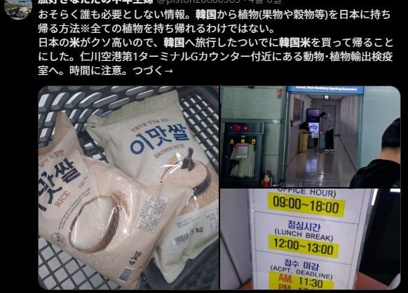 한 일본인 관광객이 지난 8일 한국에서 쌀을 사서 공항에서 검역을 받은 뒤 일본으로 귀국하는 방법을 설명했다. /X캡처