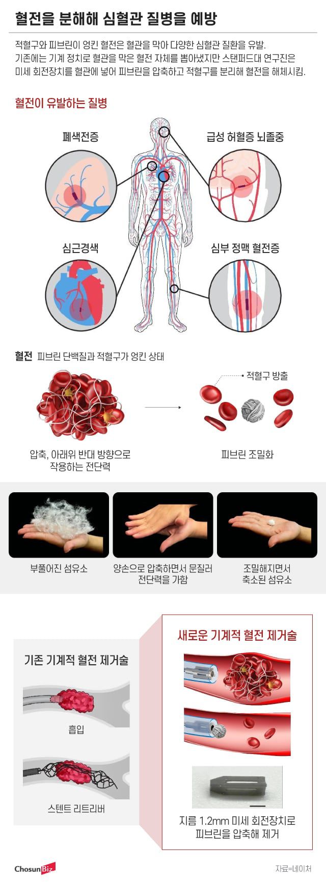 그래픽=정서희