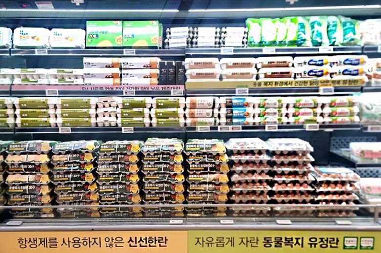 오는 25일부터 소진 시까지 판매 예정인 이랜드킴스클럽의 달걀들이 진열대에 놓여 있다. /이랜드킴스클럽 제공