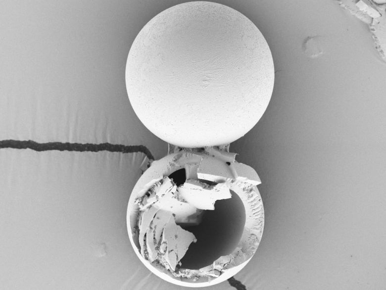백신이 담긴 마이크로캡슐의 구조를 보여주는 주사전자현미경(SEM) 이미지./Romain Guyon1