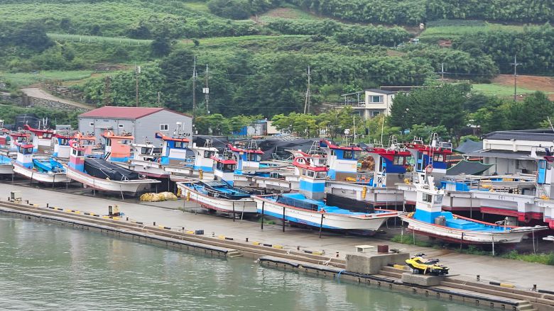 김 양식 작업에 투입되는 어선./박성우 기자