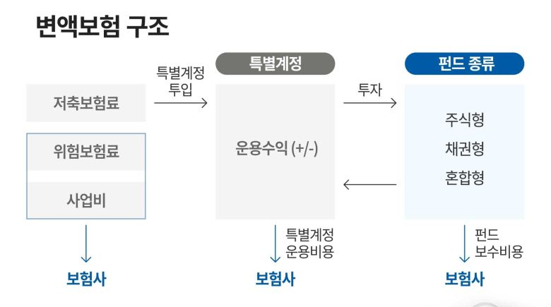 그래픽=정서희